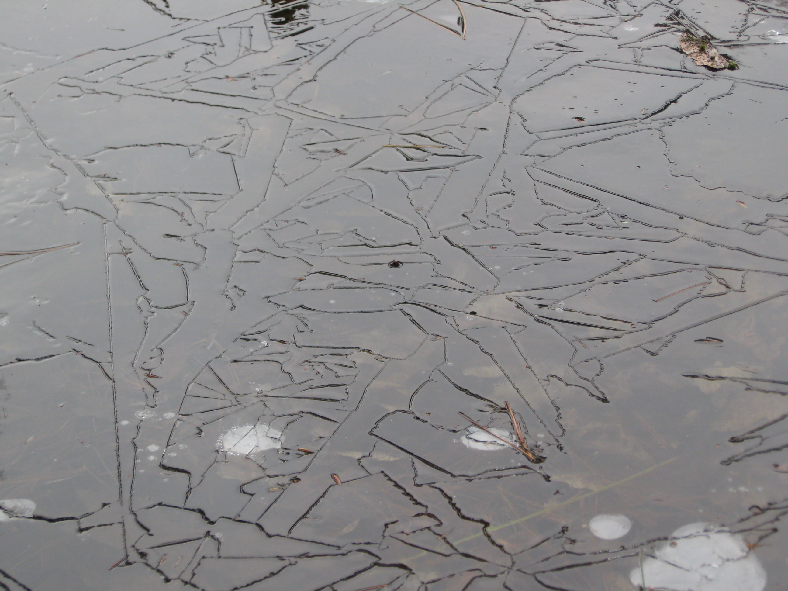 Ice at Dyken Pond